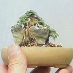 a small bonsai tree is growing out of a piece of wood in someone's hand