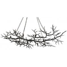 a branch hanging from the ceiling in front of a white background