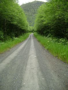 an empty road surrounded by trees and grass