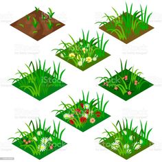 different types of grass and flowers on white background royalty