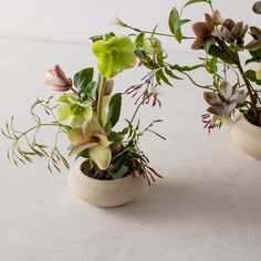 two vases filled with different types of flowers