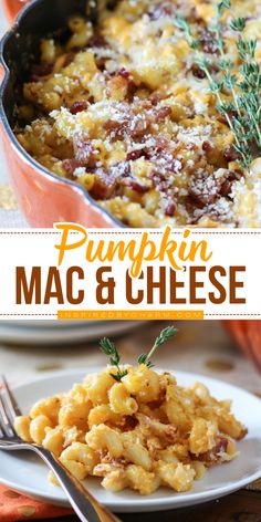 Celebrate Thanksgiving with this easy pumpkin mac and cheese with bacon! This baked pumpkin mac and cheese is savory, hearty, and the perfect Thanksgiving side dish to impress. Save this simple pumpkin recipe and impress your guests! October Dinners, Pumpkin Mac N Cheese, Mac And Cheese With Bacon, Easy Fall Dinner Recipes, Pumpkin Recipes Dinner, Easy Fall Dinners, Pumpkin Mac And Cheese, Savory Pumpkin Recipes