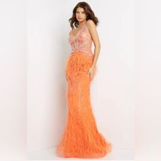 Jovani Fitted Silver Beaded Orange Feathered Long Dress. Perfect For Prom, Homecoming, Mardi Gras, Wedding, Or Holiday Evening Parties. Zips In Back. Comes With Over The Elbow Polyester Gloves. Some Wear On The Elbow’s. Dress Has No Tears Or Rips Or Any Beads Missing. Smoke Free/Pet Free Home. Measures: 61” From The Shoulder To Hem In Front 65” In The Back Beaded Orange, Mardi Gras Wedding, Beaded Feather, Jovani Dresses, Homecoming Dress, No Tears, Evening Party, Mardi Gras, Homecoming Dresses