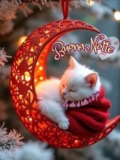 a white cat sleeping on top of a red ornament hanging from a christmas tree