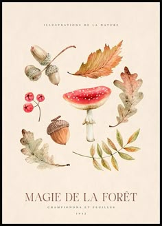 a book cover with watercolor illustrations of leaves, mushrooms and acorns