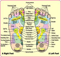 Foot Reflexology Chart for Apply Essential Oils Foot Bath, Foot Massage, Detox Recipes