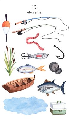 an image of different types of fishing items in watercolor and ink on white paper