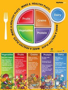 My Plate Poster - MyPlate Poster - Nutrition Education Store Plate Nutrition, Educational Prints, Nutrition Poster, Nutrition Store, Healthy Plate, My Plate, Nutrient Rich Foods, Vegetable Protein, Grain Foods