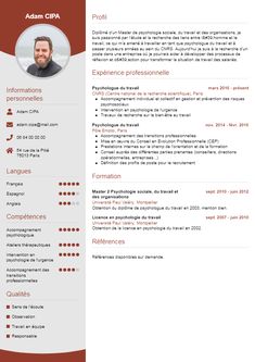 a professional cvn resume with red accents on the front and side panels, in two colors