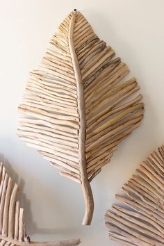 two pieces of driftwood are arranged on the wall