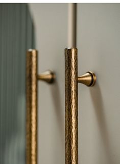 two gold handles are on the side of a door