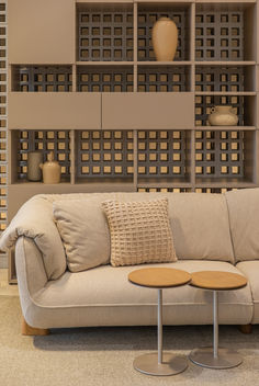 a couch and table in a room with shelves