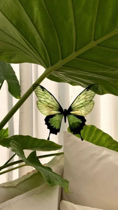 a green butterfly sitting on top of a white pillow next to a large leafy plant