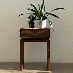 a potted plant sitting on top of a wooden table next to a white wall