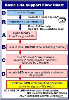 Skill Workshop: Wilderness First Aid (Basic CPR Rescue) | Medical ...