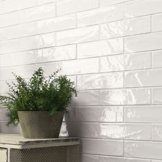 a potted plant sitting on top of a cabinet next to a white brick wall