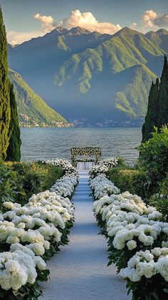 Imagine an elegant outdoor wedding at Lake Como, surrounded by romantic floral serenity. Let us capture your magical moments with breathtaking videography! 🌹✨ #Midjourney #LakeComoWedding #FloralSerenity #WeddingVideography Lake Como Italy Wedding Star Wars, Wedding Place Italy, Wedding Aesthetic Vision Board, Wedding In Italy Lake Como, Wedding Aesthetic Italy, Italy Lake Wedding, Wedding Ideas Lake Como, Formal Mountain Wedding, Crazy Rich Asians Wedding Water Aisle