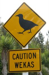 a yellow caution sign sitting on the side of a road next to a palm tree