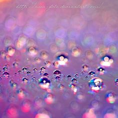 water droplets are seen in this colorful photo