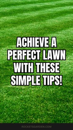 the words achieve a perfect lawn with these simple tips