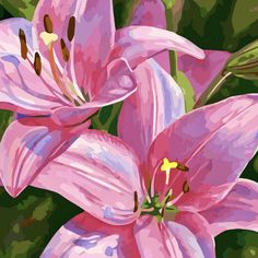 two pink lilies are blooming in the green grass with yellow stamens