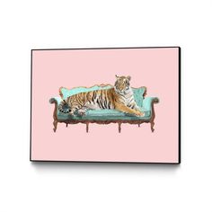 a large tiger laying on top of a couch with pink walls in the back ground