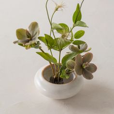 a white vase with some plants in it