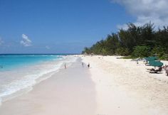 people are walking on the beach near the water and trees, while others swim in the ocean