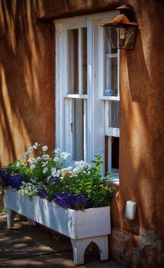 a window box with flowers in it next to a building