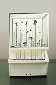 a white piano with birds in it on display