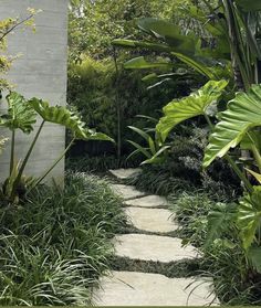 a stone path in the middle of a garden