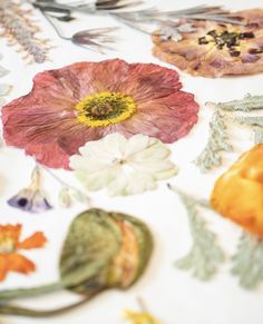 the table cloth has many different flowers on it