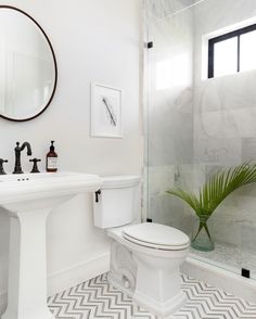 a white toilet sitting next to a sink in a bathroom under a mirror and a potted plant