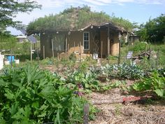 a small house with a thatched roof in the middle of a garden filled with vegetables