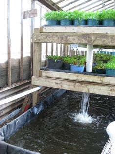 several plants are being watered in a small garden area with water coming out of the planter