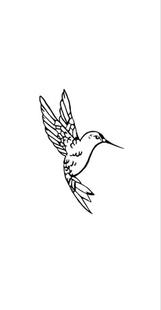 a black and white drawing of a hummingbird flying in the sky with its wings spread