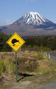 a road sign with an image of a kiwi on it in front of a mountain