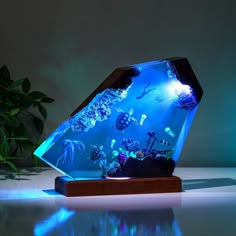 an aquarium with blue lights in the middle and various marine life on it's sides