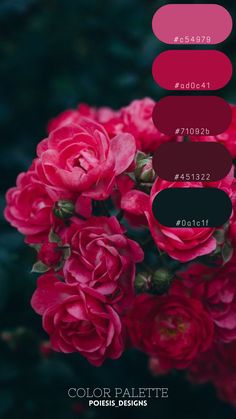 a bunch of red flowers with different colors in the bottom row, and below them is a color palette