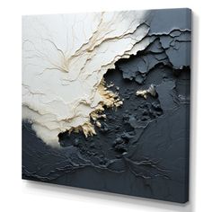 an abstract painting with black and white colors on the canvas, it looks like something out of