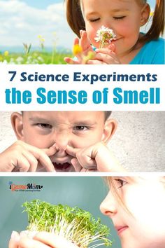 the science experiment for kids shows how to use small plants as well as help them understand what they are doing