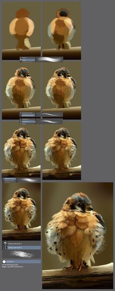 several different pictures of a bird sitting on top of a table