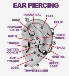 an ear piercing diagram with the parts labeled