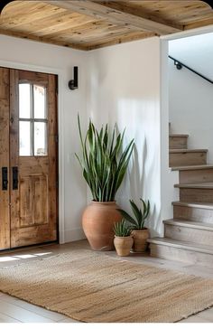 two potted plants sit on the floor in front of a wooden door and stair case