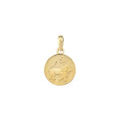 Single gold Leo zodiac sign necklace pendant with a detailed lion engraving and textured field Symbolic Yellow Gold Coin Necklace, Yellow Gold Symbolic Engraved Coin Necklace, Yellow Gold Zodiac Sign Coin Necklace, Yellow Gold Zodiac Coin Necklace, Leo Zodiac Necklace, Dangle Cross Earrings, Leo Necklace Zodiac, Leo Necklace, Gold Rosary