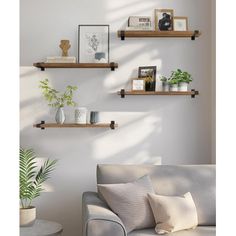 three wooden shelves on the wall above a couch with pillows and potted plants in front of it