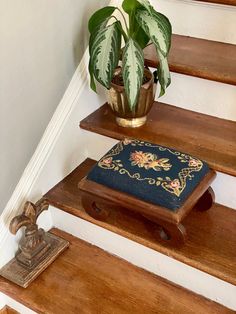 a potted plant sitting on top of a wooden step next to a blue cushion