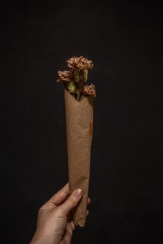 a hand holding a piece of brown paper with flowers on it and a black background