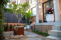 Coogee Landscape Design Sydney Easy Garden Ideas Landscaping, Inspiring Outdoor Spaces, Landscape Designers, Landscape Designer, Garden Entrance, Garden Designer, Luxury Garden, Inner City, Easy Garden