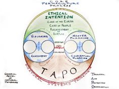 a drawing shows the stages of an enneation